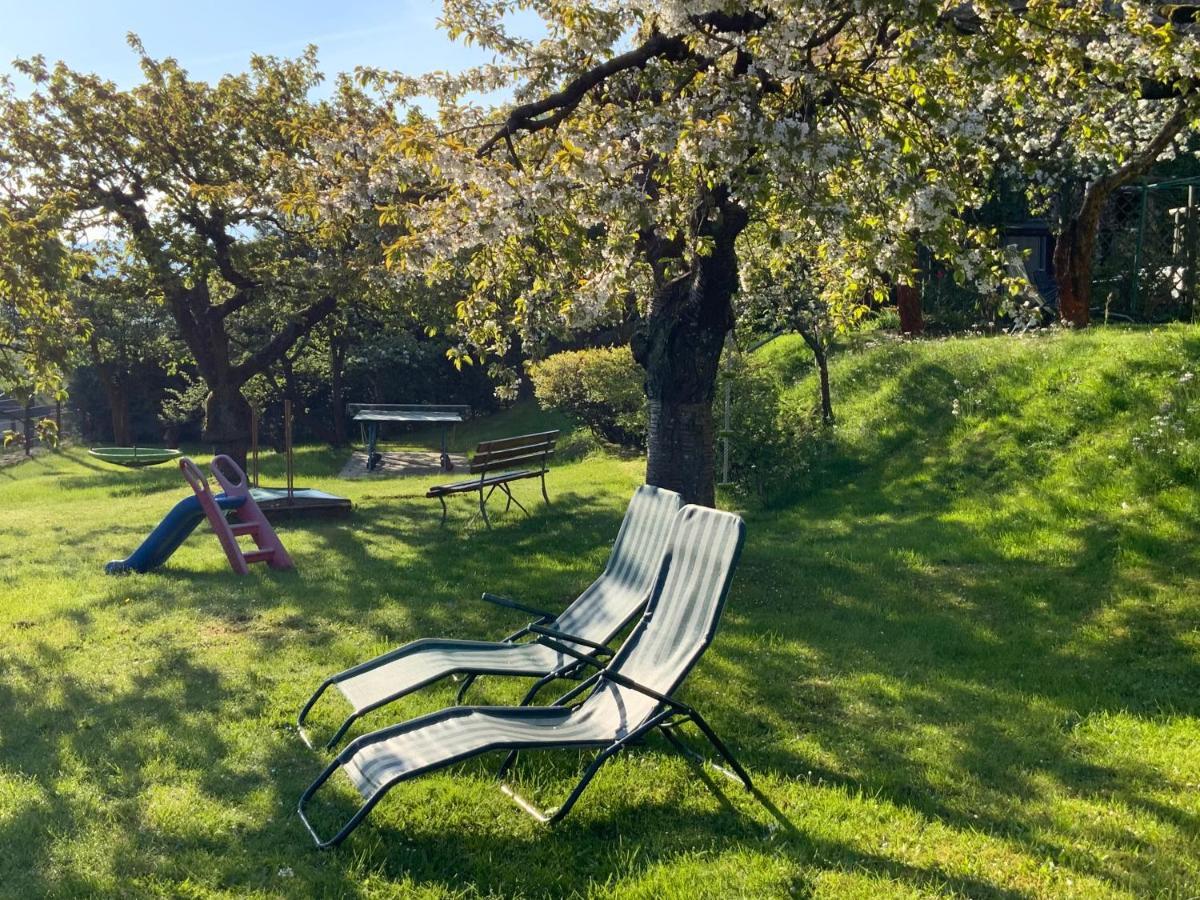 Pension Hoenel-Hof Bad Schandau Exteriör bild