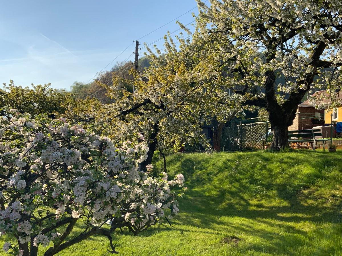 Pension Hoenel-Hof Bad Schandau Exteriör bild